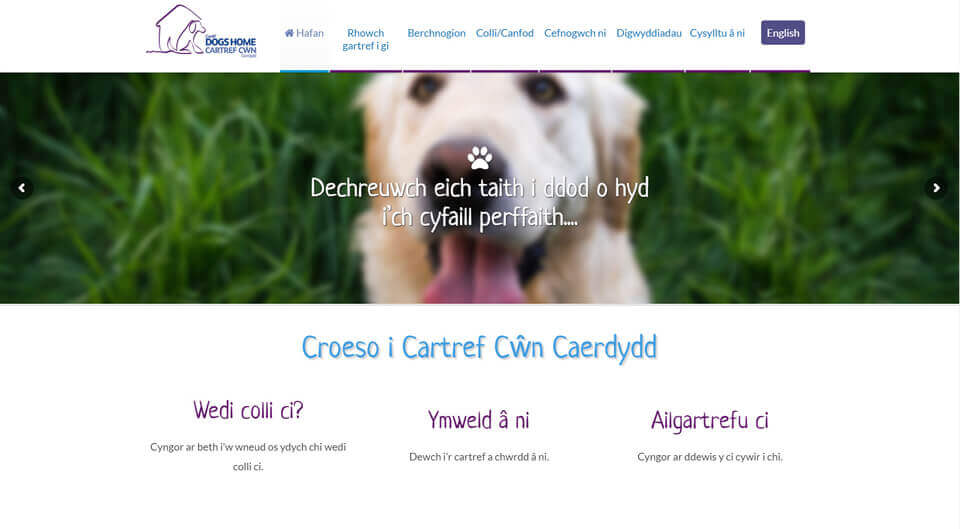 Cartref Cŵn Caerdydd